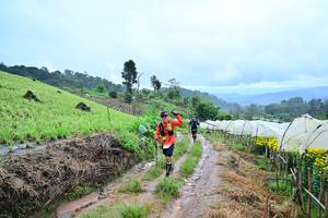 BIB: 534
                            <button type="button" onclick="openModal(13377987)" class="btn btn-primary btn-sm float-right btn-popup" data-toggle="modal" data-target=".modal-high-quality">
                        <i class="fas fa-shopping-cart"></i> Add to Cart
                    </button>
                                            <button type="button" onclick="isThisMe(13377987, true)" class="btn btn-success btn-sm float-right btn-popup btn-isme hidden" data-toggle="tooltip" data-placement="bottom" title="นี่คือรูปของคุณใช่ไหม คลิกที่นี่เพื่อเอาเข้าอัลบั้ม">
                        <i class="fas fa-plus"></i> Add to album
                    </button>
                    <button type="button" onclick="isThisMe(13377987, false)" class="btn btn-warning btn-sm float-right btn-popup btn-isnotme hidden">
                        <i class="fas fa-ban"></i> Remove from album
                    </button>